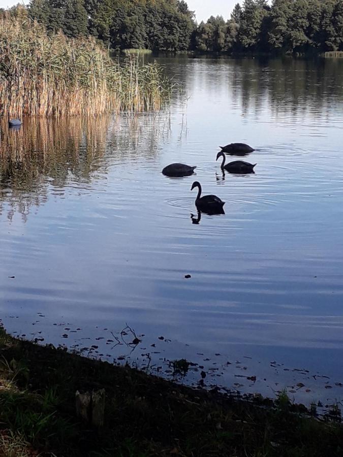 Domek U Janiny Czaplinek Luaran gambar